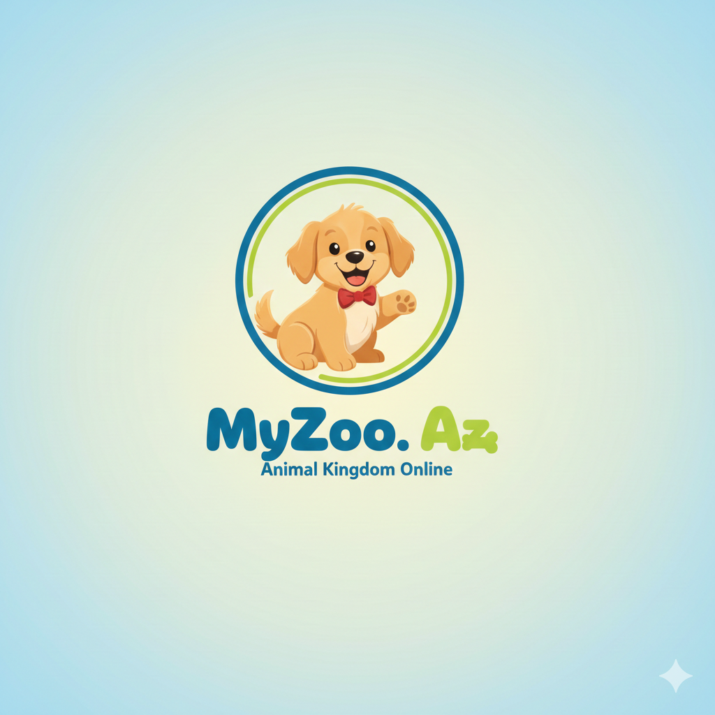 MyZoo.Az